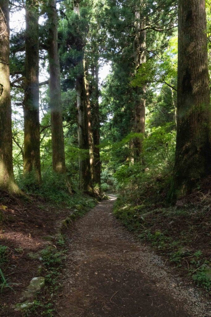 The Cedar Avenue walk