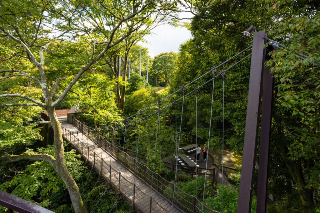 A beautiful crossing