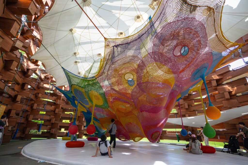 Inside Behind Woods of Net