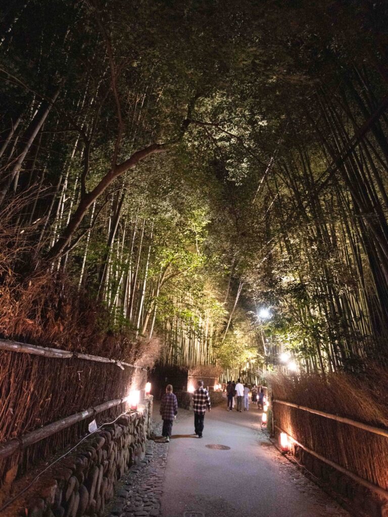 The Bamboo Groves at night