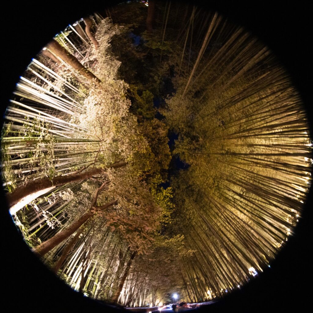 Fisheye perspective