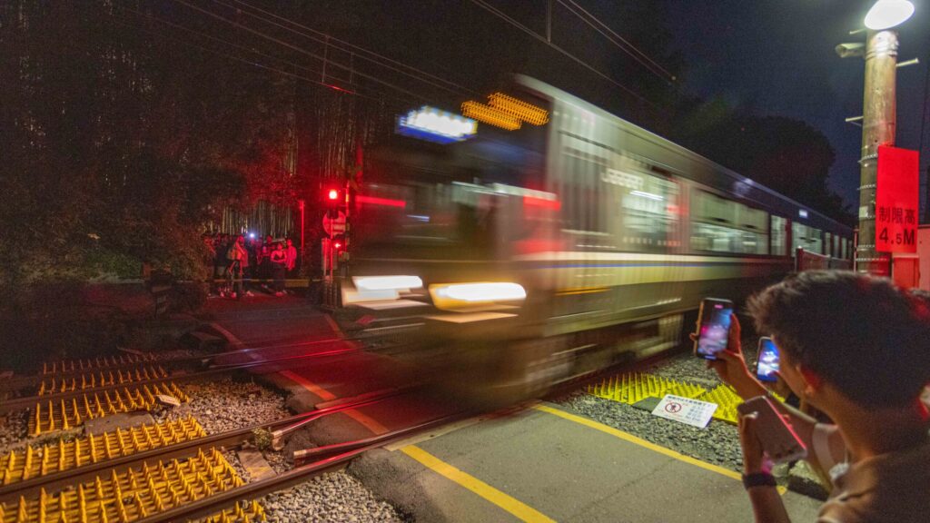 There is a very active trai track that passes through the Bamboo Groves.