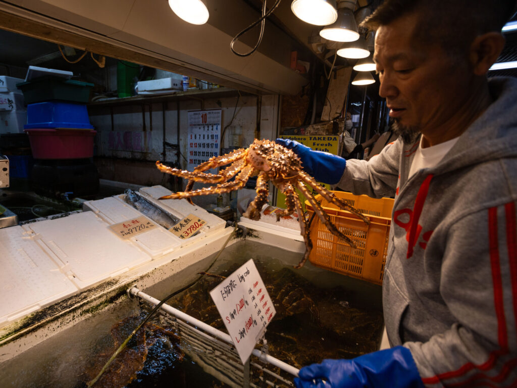 The size of these things!