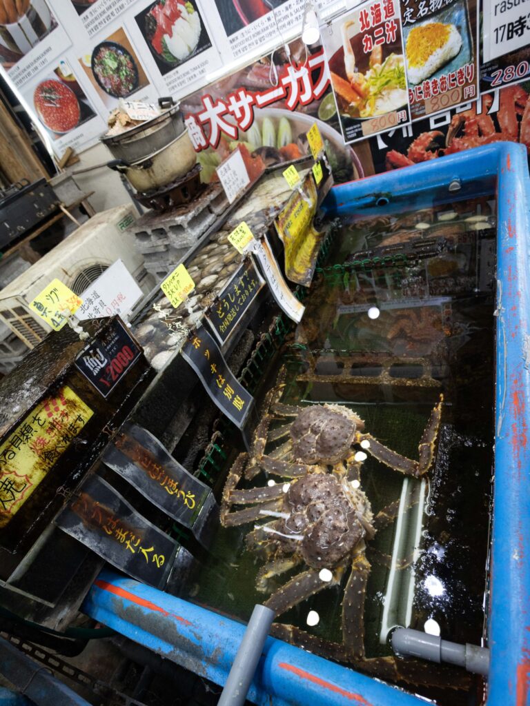 Many crabs were trying to escape