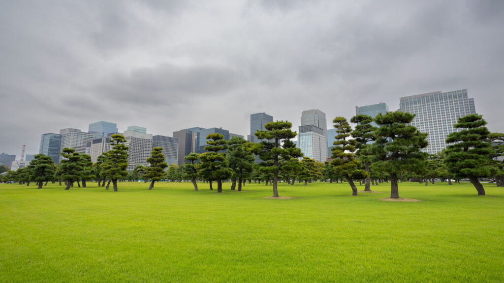 Looking across Kokyo Gaien National Garden