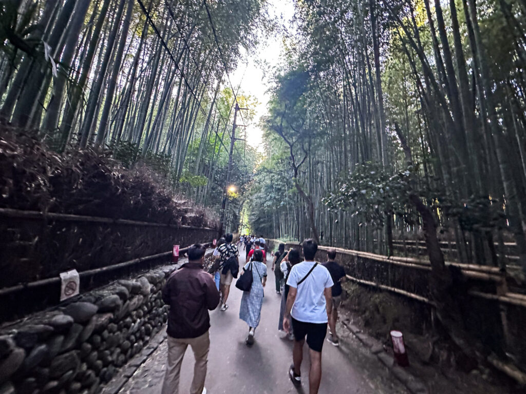 The Bamboo Groves of Arashiyama